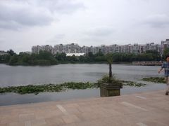 -新江湾城公园