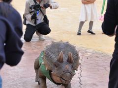 -世界恐龙谷景区