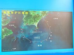 -广东惠东海龟国家级自然保护区