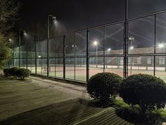 -上海共青森林公园