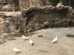 -燕塞湖鸟语林景区