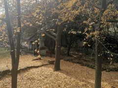 -无锡梅园公园