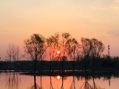 -大兴滨河森林公园