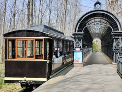 -合肥滨湖国家森林公园