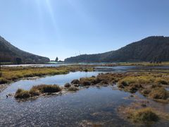 -腾冲北海湿地