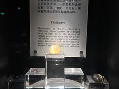-中国地质博物馆