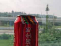 -嘉州九妹凤爪(乐山总店)
