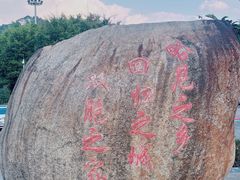 -野象谷景区
