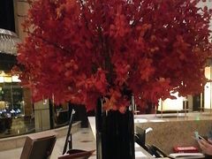 -上海锦江汤臣洲际大酒店壹阶层