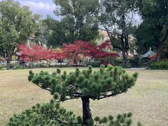 -申粤轩酒楼·三十年粤菜经典(丁香花园店)