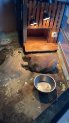 -未来动物城主题公园(正弘城店)