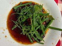 -西贝(华发商都店)