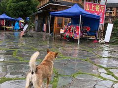 -金顺昌桂林桂花伴手礼(正阳一店)