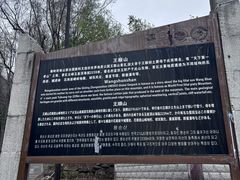 -王顺山国家森林公园