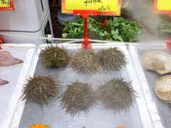 -蚝专家(北滘店)