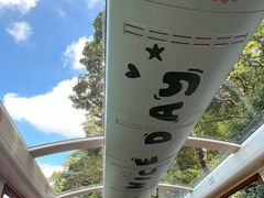 -山顶缆车