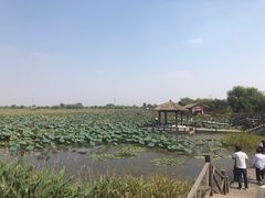 -焦岗湖旅游度假区