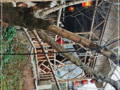 -玫瑰庄园·自助烧烤·烤全羊·团建拓展(龙泉山店)
