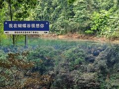 -鼎湖山风景区