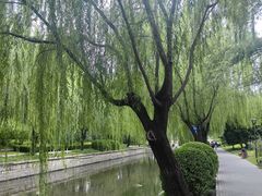 -元大都城垣遗址公园
