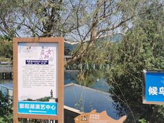 -鄱阳湖国家湿地公园