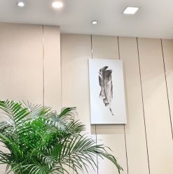 -In Style造型