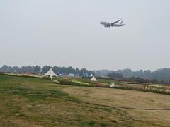 -空港花田景区