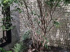 -顺德渔村·岭南一号