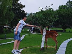 -宁波九龙湖开元度假村