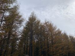 -秦岭风景区
