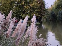 -洛阳市隋唐城遗址植物园