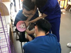 -联合动物医院(光谷诊疗中心)