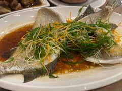 清蒸太阳鱼-大唐靓汤江门私房菜(景田店)