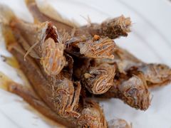 -沪依小酒馆心意菜