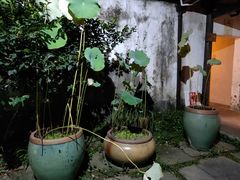 -院子餐厅·大锅菜·老杭帮(桥西直街店)