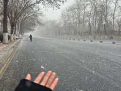 -桃花堤公园