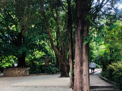 -蝴蝶泉公园