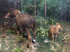 -陕西自然博物馆