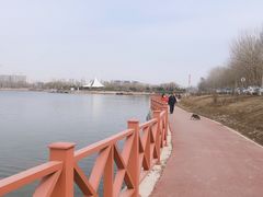 -丁香湖公园