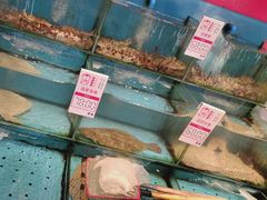 -添福来墨鱼饺子 · 海鲜东北菜(大连星海·黄浦路店)