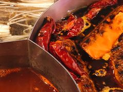 -DaLongYi Hot Pot 大龙燚火锅