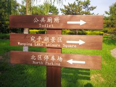 -绿堤公园