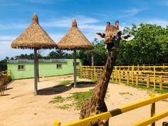 -西霞口神雕山野生动物世界