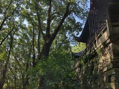 -宁波市保国寺古建筑博物馆