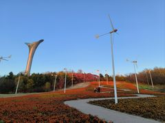 -沈阳植物园