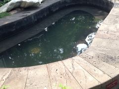 -金石唐风国际温泉会馆