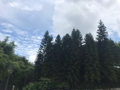 -晓港公园