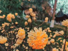 -幕燕滨江·长江观音景区