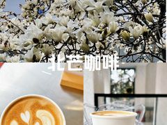 -北芒BEIMO COFFEE(五台山店)