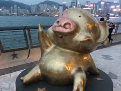 -星光大道